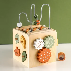 Montessori Wooden Activity Cube
